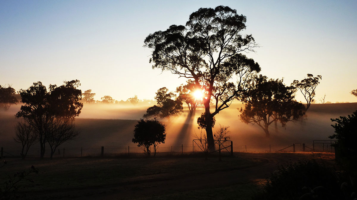 Peaceful scenery surrounding our funeral ceremonies in Perth